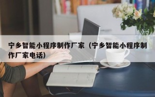铜仁宁乡智能小程序制作厂家（宁乡智能小程序制作厂家电话）