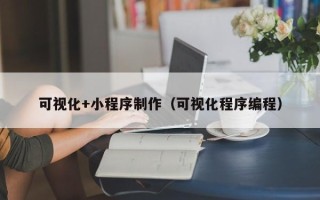 铜仁可视化+小程序制作（可视化程序编程）
